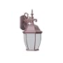 Thomas Lighting PL9133-81