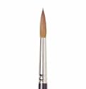 RAPHAEL Kolinsky Sable Fine Point Round Size 16 brush - Best Price on Web!