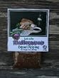 South Texas Milling Taste of the Mediterranean Bread Dipping - 1.0 oz bag