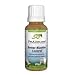 Dog Bladder Control / Cat Bladder Control - Homeopathic Better-Bladder ControlTM Temporarily Aids Your Pet in Reducing Dribbling & Accidents - Buy 2, Get 1 Free