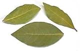 Bay Leaves 1oz (Tejpata)