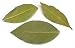 Bay Leaves 1oz (Tejpata)