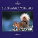 The National Trust for Scotland Book of Scotland's Wildlife (National Trust for Scotland)