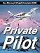 Video Games : ABACUS Private Pilot Training & Exam
