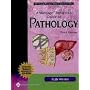 A Massage Therapist's Guide to Pathology: A Diagnostic Guide to Neurologic Levels (Recall)