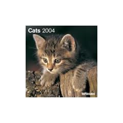 Cats 2004 Brosch�renkalender
