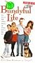 Married With Children: It's a Bundyful Life [VHS]