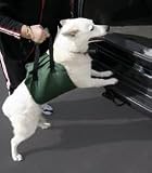 Outward Hound Up & Out Life Harness