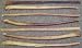 Pet Supplies : Free Range Dog Chews Bully Stick 18 inch