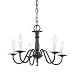 Sea Gull Lighting 3121-72 Traditional 5-Light Chandelier, Olde Iron