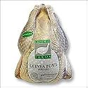 Fresh Whole Guinea Fowl