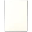 100 Fluorescent White #9 Embassy Printable Cards