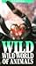 Tarantula [VHS]