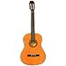 Lauren Steel String Acoustic Guitar