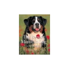 The Bernese Mountain Dog: A Dog of Destiny