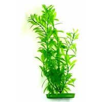 PP1213 12INCH HYGROPHILA 6 by HAGEN AQUARIUM P