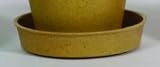 3 saucer bamboo (5)