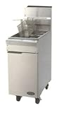 DCS F25 Commercial Fryer