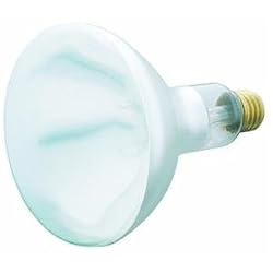 Westinghouse Lighting 03918 Heat and Brooder Bulb
