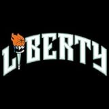 Sporting Goods : WNBA Replica Jersey NY Liberty Adult (EA)