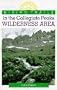 Hiking Trails in the Collegiate Peaks Wilderness Area