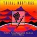 Native American & Andean Flute Music  from Talking Taco