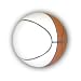 Signature Series Mini Basketball