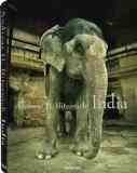 Zoom Produkt-Bild: (India) By Bitesnich, Andreas H. (Author) Hardcover on (09 , 2011)