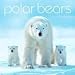 Polar Bears 2006 Calendar