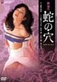 団鬼六 蛇の穴 [DVD]