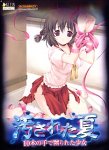 汚された夏 ~10本の手で嬲られた少女~