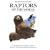 Raptors of the World (Helm Identification Guides)