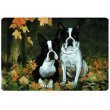 Boston Terrier Pet Placemat Feeding Mat