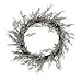Martha Stewart Everyday First Snowfall 22in Silver Icy Branch Wreath