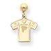 14K Atlanta Falcons Jersey Dangle Post Earrings - NF95