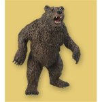 Grizzly Bear (5)
