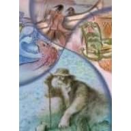 �t���f���b�N�E�o�b�N��i�R���N�V���� [DVD]