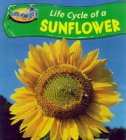 Life cycle of a sunflower