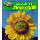 Sunflower (Take-off!: Life Cycle Of...)