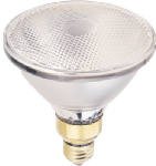 WP 90W PAR38 Out Bulb