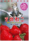 まめねこ―世界でいちばん小さなこねこ