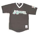 Minor League Baseball Michigan Battle Cats V Neck Adult Jersey