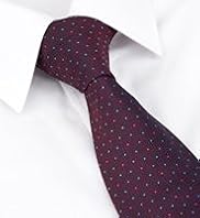 Machine Washable Textured Spotted Tie