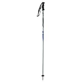 Alpina Excite Junior Ski Poles