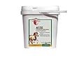 Vita Flex Accel - Horse Supplement