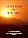 Book Little Birds and Elephants: The Diary and Short Stories of David Macpherson's Wanderings in Portuguese East Africa and Nyasaland 1928-1929