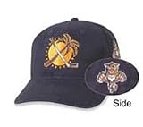 NHL Cap - Florida Panthers Alternate Logo Cap
