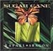 Sugar Cane