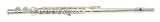 Trevor J. James Flute Traversiere Symphony