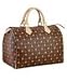 Louis Vuitton Cherry Speedy 25